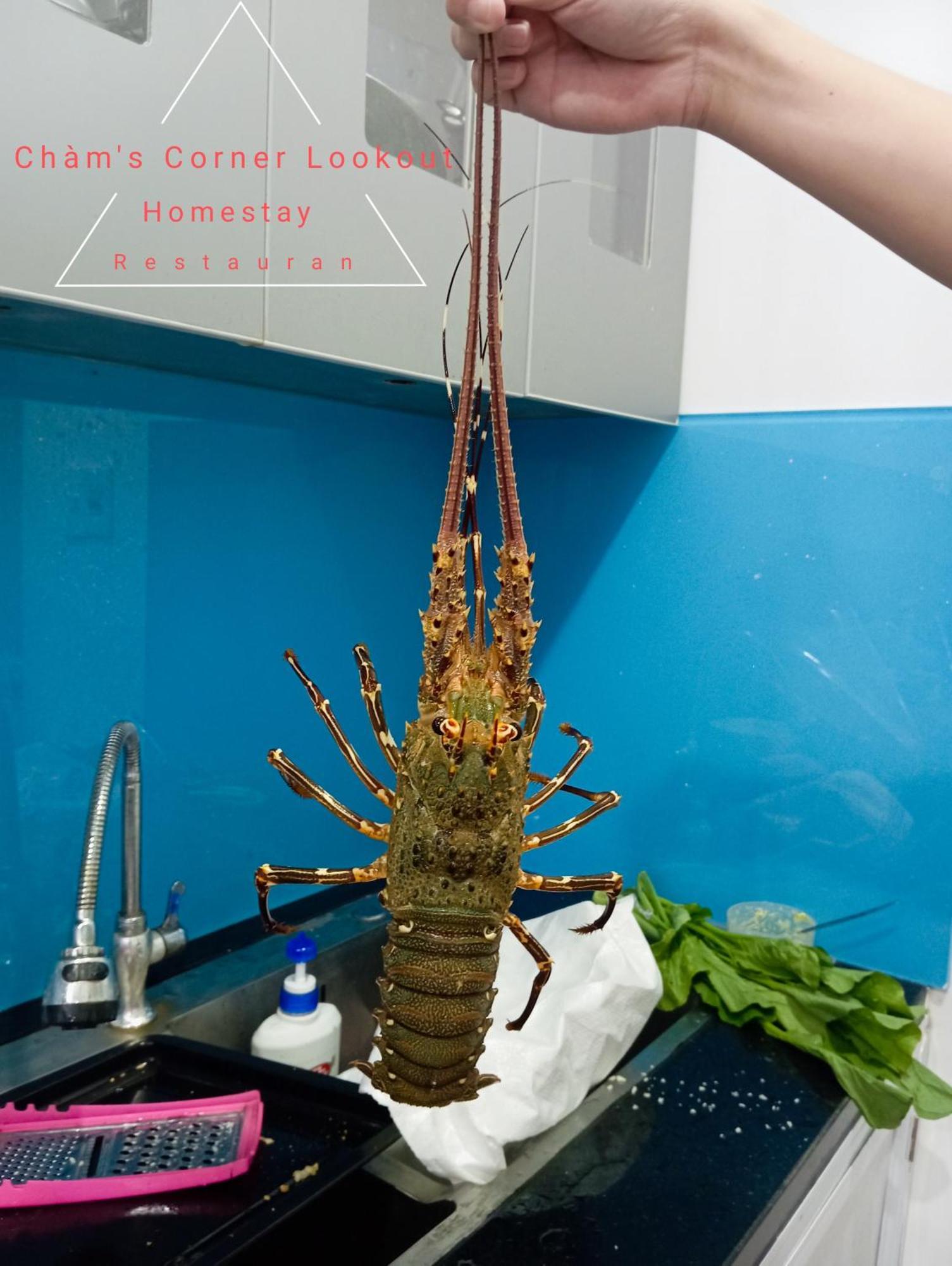 Cham'S Corner Lookout Homestay & Restaurant Tân Hiệ Exteriör bild