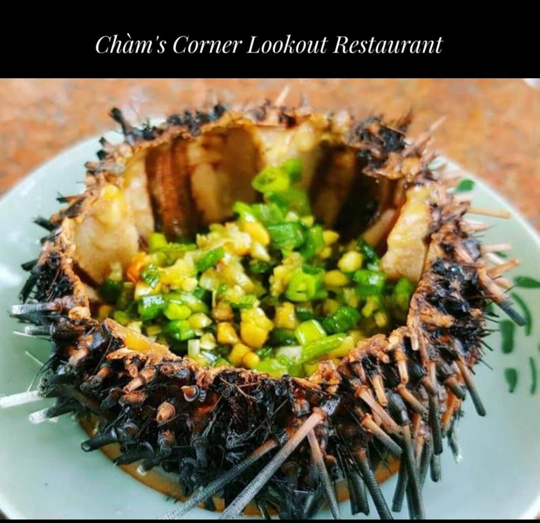 Cham'S Corner Lookout Homestay & Restaurant Tân Hiệ Exteriör bild